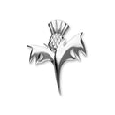 Thistle Silver Brooch B535