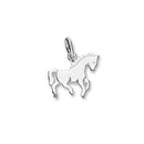 Wildlife Silver Charm C127