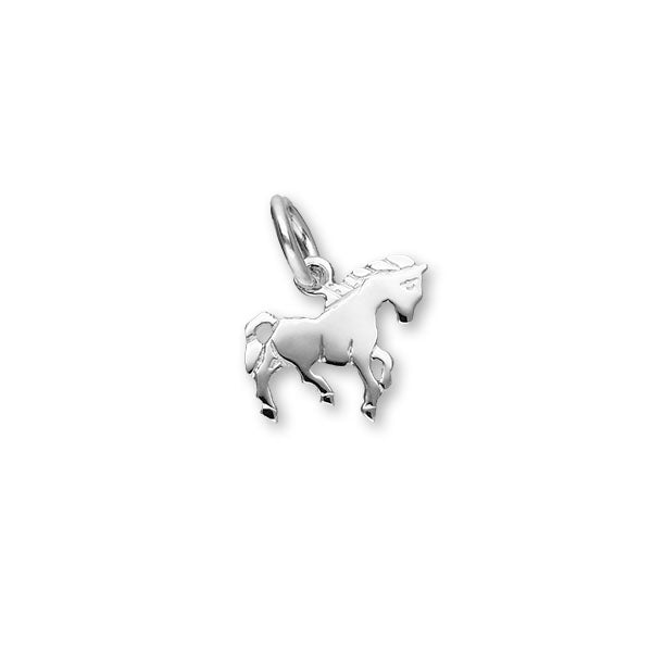 Wildlife Silver Charm C140