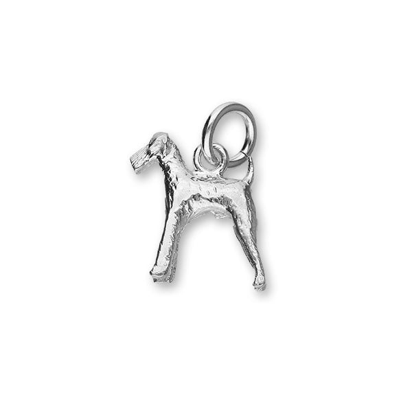 Wildlife Silver Charm C161