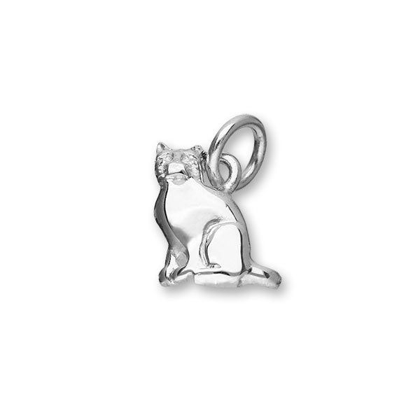 Wildlife Silver Charm C184