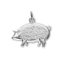Wildlife Silver Charm C86