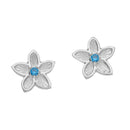 Happy Valley Silver Earrings CE435 Blue CZ