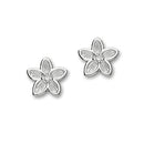 Happy Valley Silver Earrings CE435 Cubic Zirconia