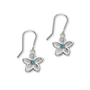 Happy Valley Silver Earrings CE437 Blue CZ