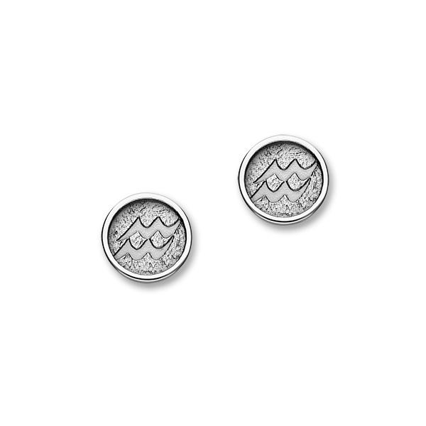 Zodiac Silver Earrings E1849 Aquarius