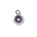 Scottish Primrose Silver Charm EC18