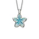 Happy Valley Silver Pendant EP377