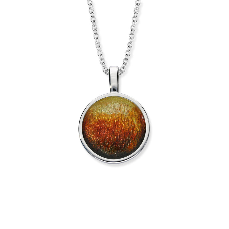 Enamel Silver Pendant EP499