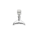 Bottlenose Fluke Silver Charm FC 13