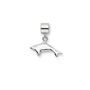 Dolphin Silver Charm FC 9