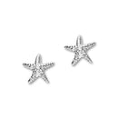 Starfish Silver Earrings FE 24