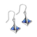 Ray Silver Enamel Drop Earrings FEE 8