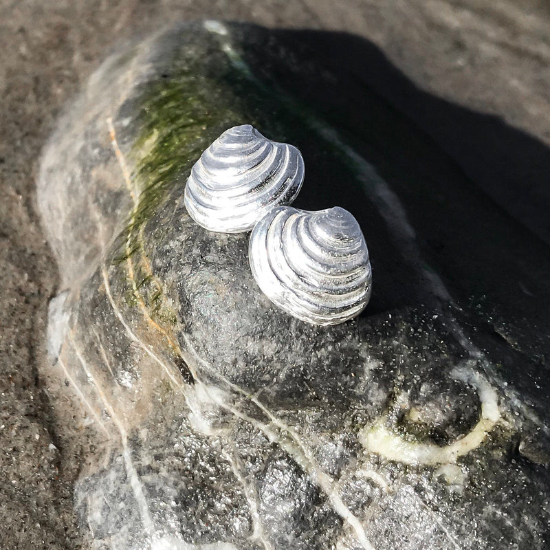 Sterling Silver Venus Clam Shell Stud Earrings E2057