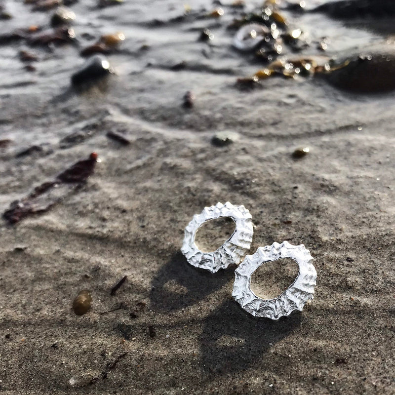 Sterling Silver Limpet Shell Earrings - Flitters E2045