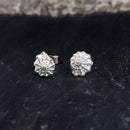 Sterling Silver Gastropod Spiral Shell Stud Earrings E2001